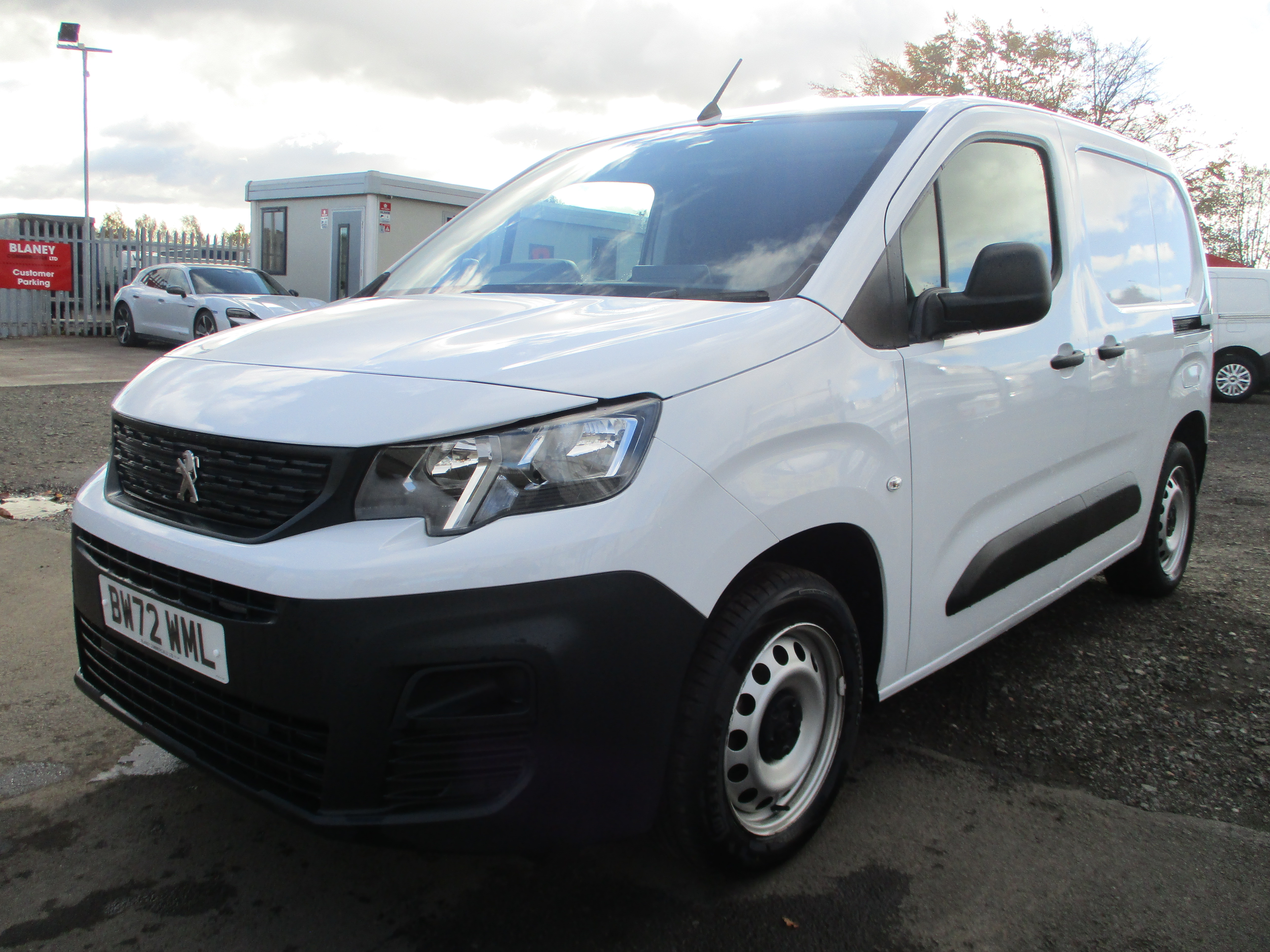panel-van category