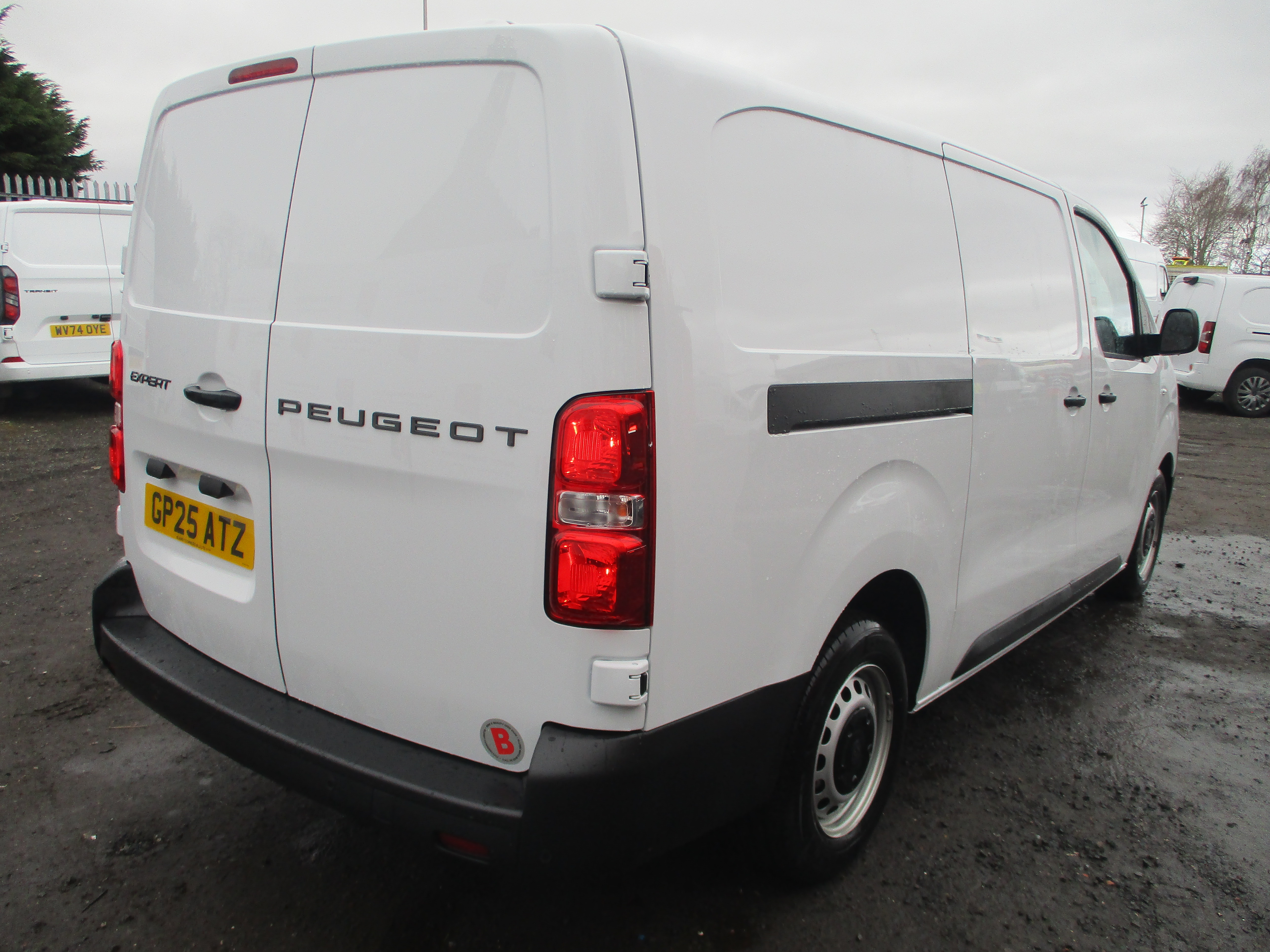 Peugeot Expert L2 1.5 BlueHDi 120PS Professional Van (IMMACULATE VAN)