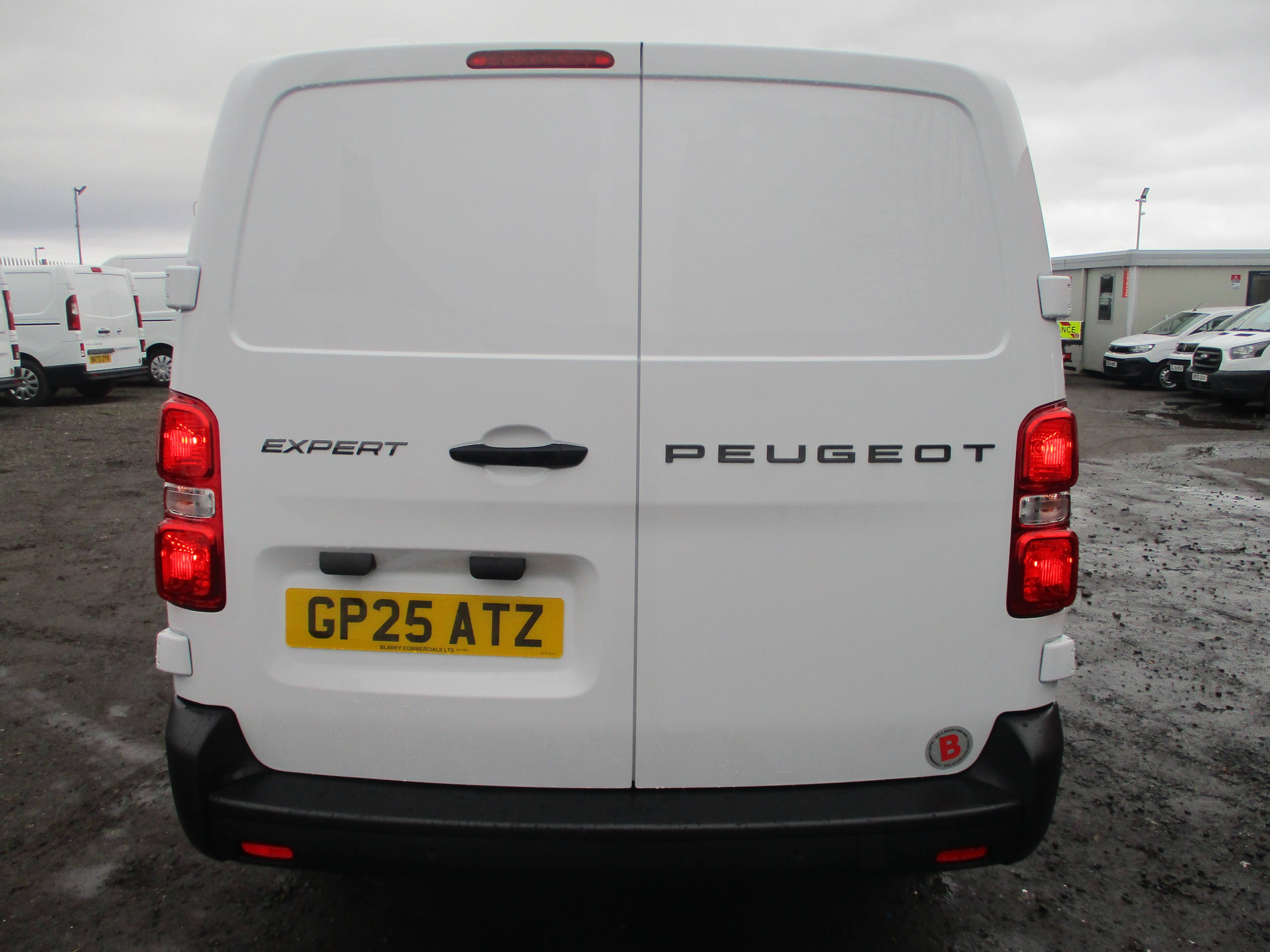 Peugeot Expert L2 1.5 BlueHDi 120PS Professional Van (IMMACULATE VAN)