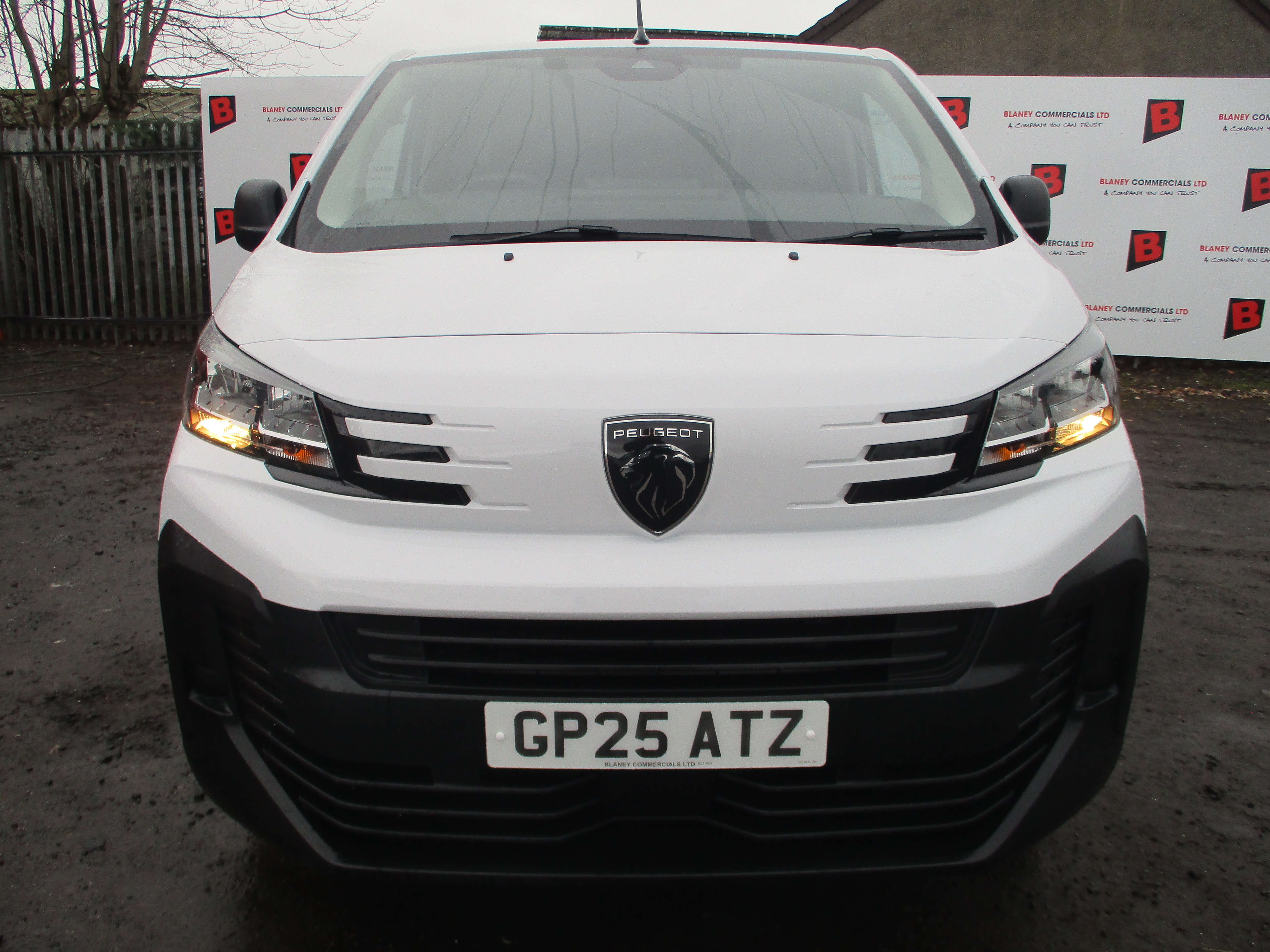 Peugeot Expert L2 1.5 BlueHDi 120PS Professional Van (IMMACULATE VAN)