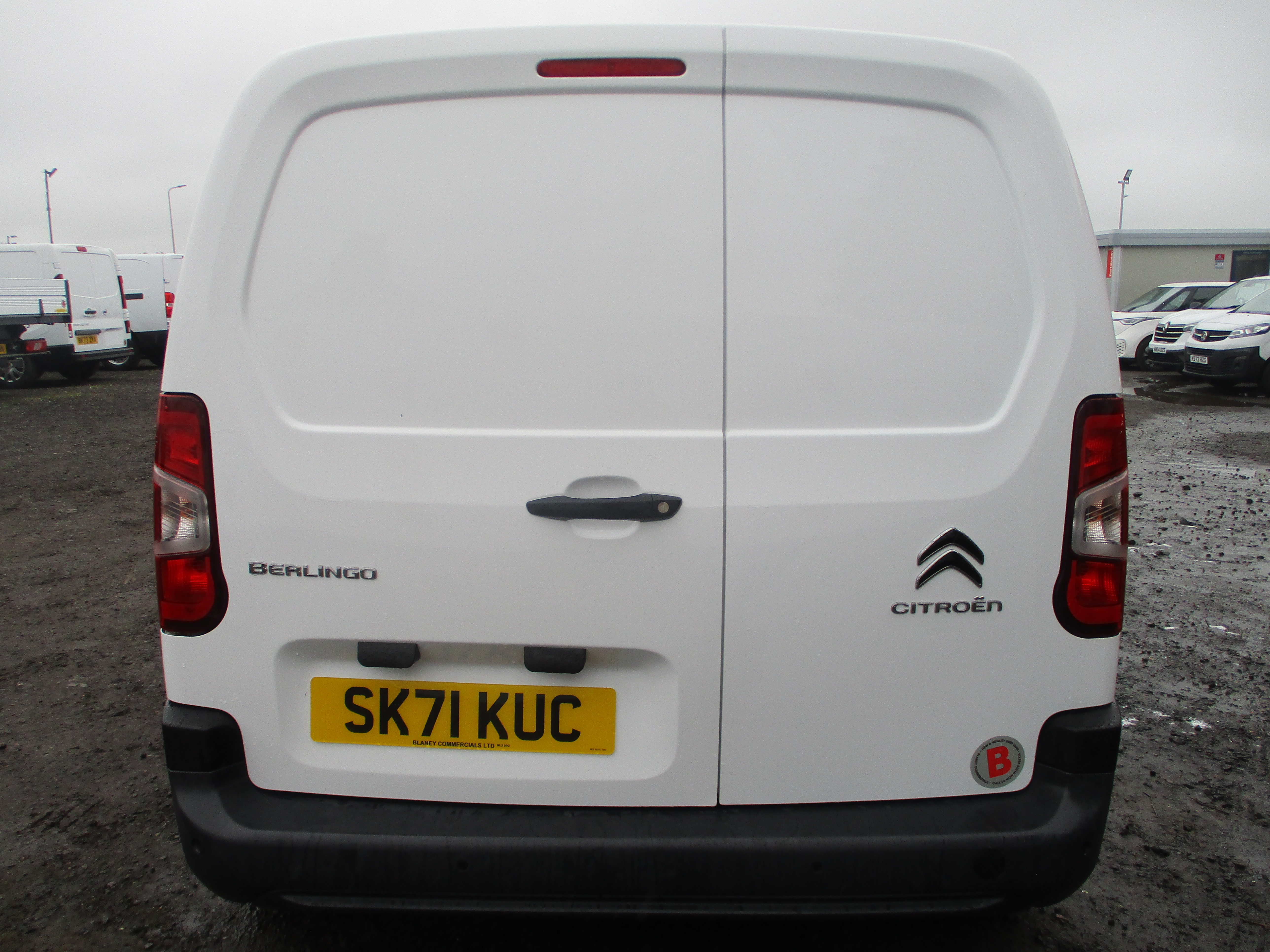 panel-van category