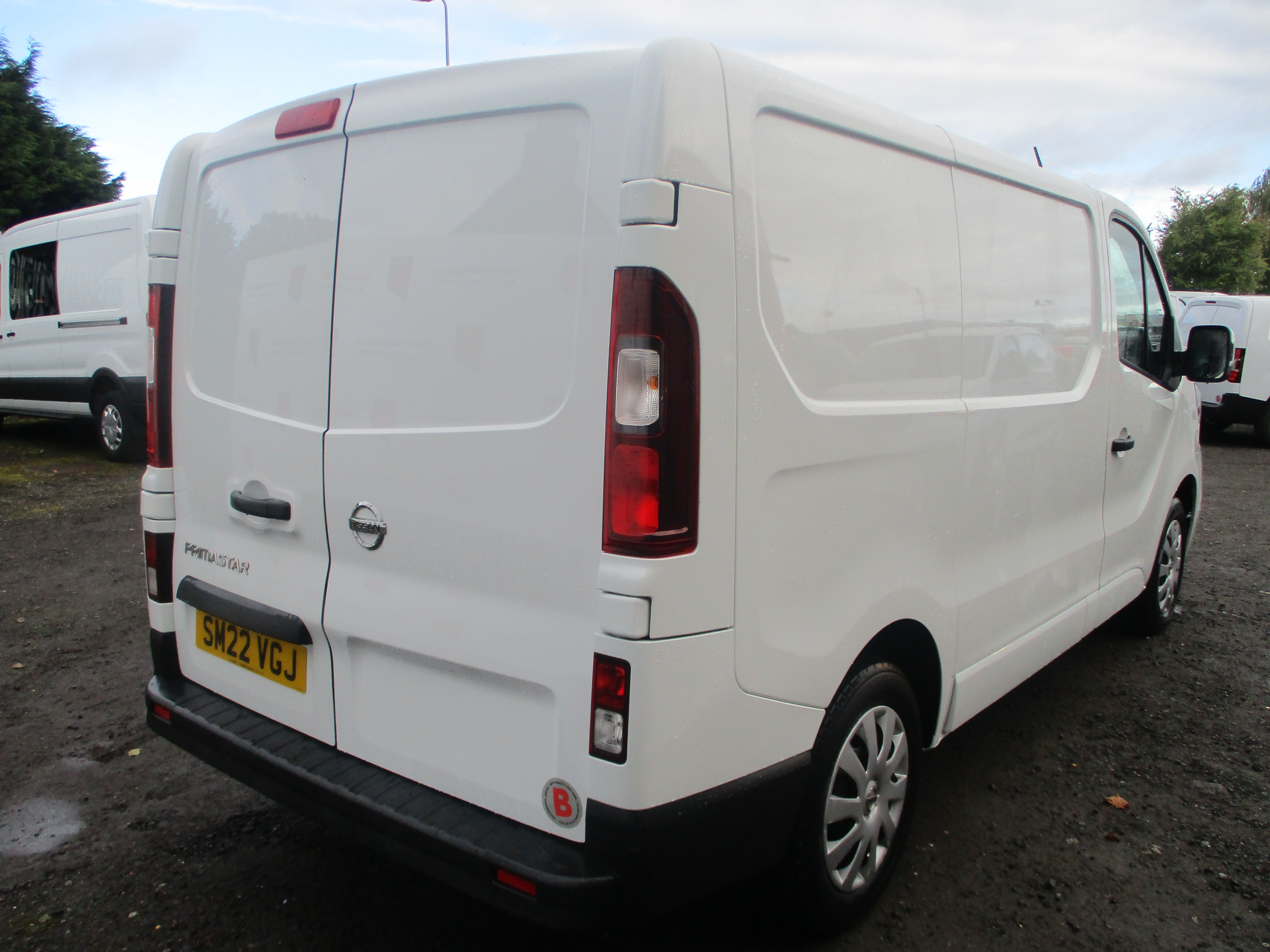 panel-van category