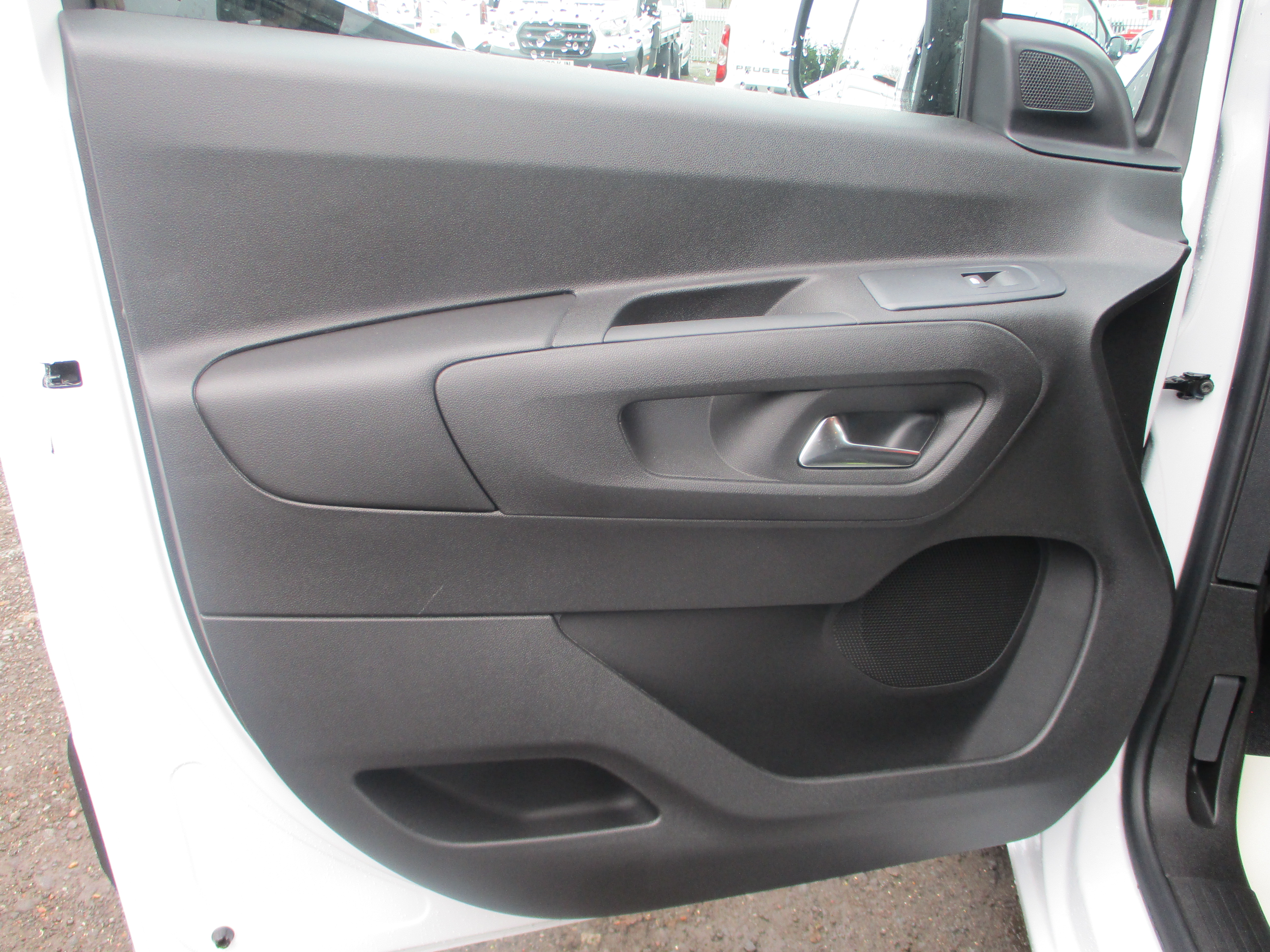 panel-van category